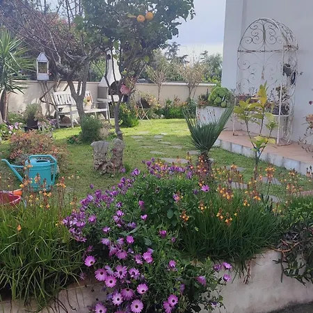 Σπίτι διακοπών Casa Vacanze Olbia *